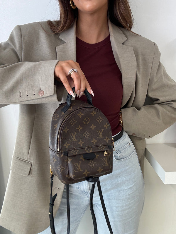 Louis Vuitton Palm Springs Mini Backpack