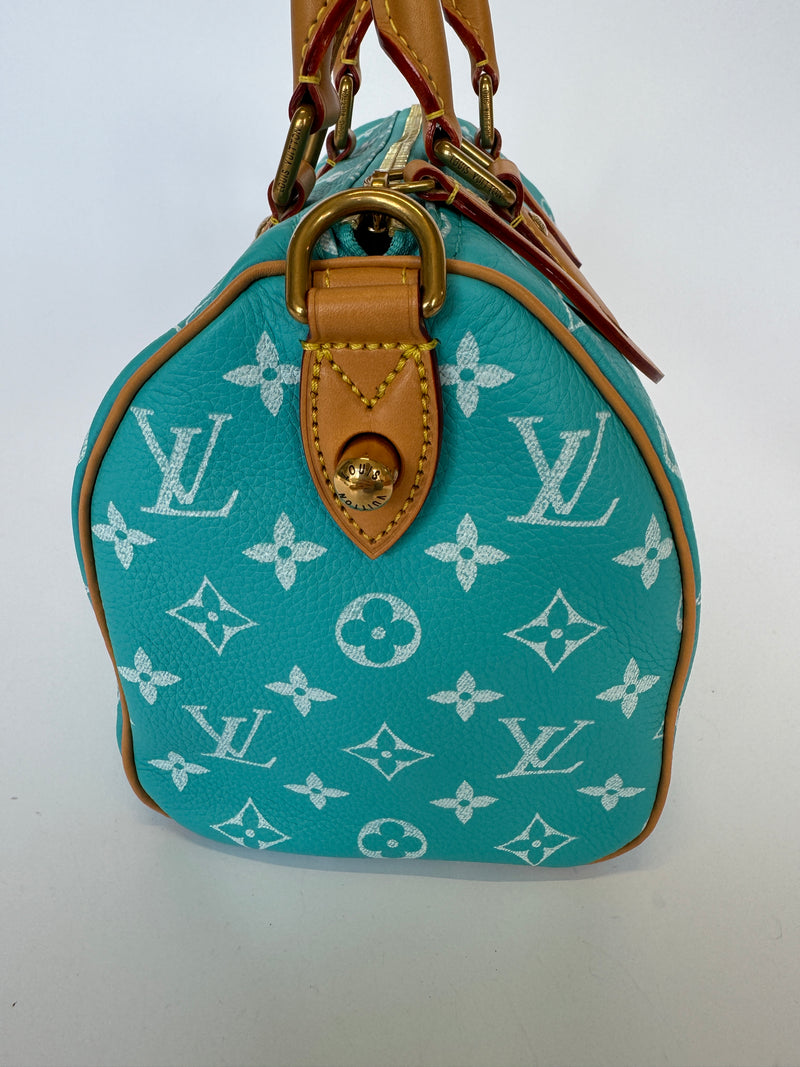 Louis Vuitton Speedy P9 Bandoulière 25 Bag