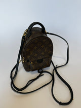 Louis Vuitton Palm Springs Mini Backpack