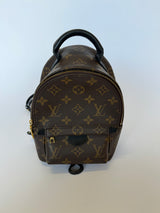 Louis Vuitton Palm Springs Mini Backpack