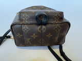 Louis Vuitton Palm Springs Mini Backpack