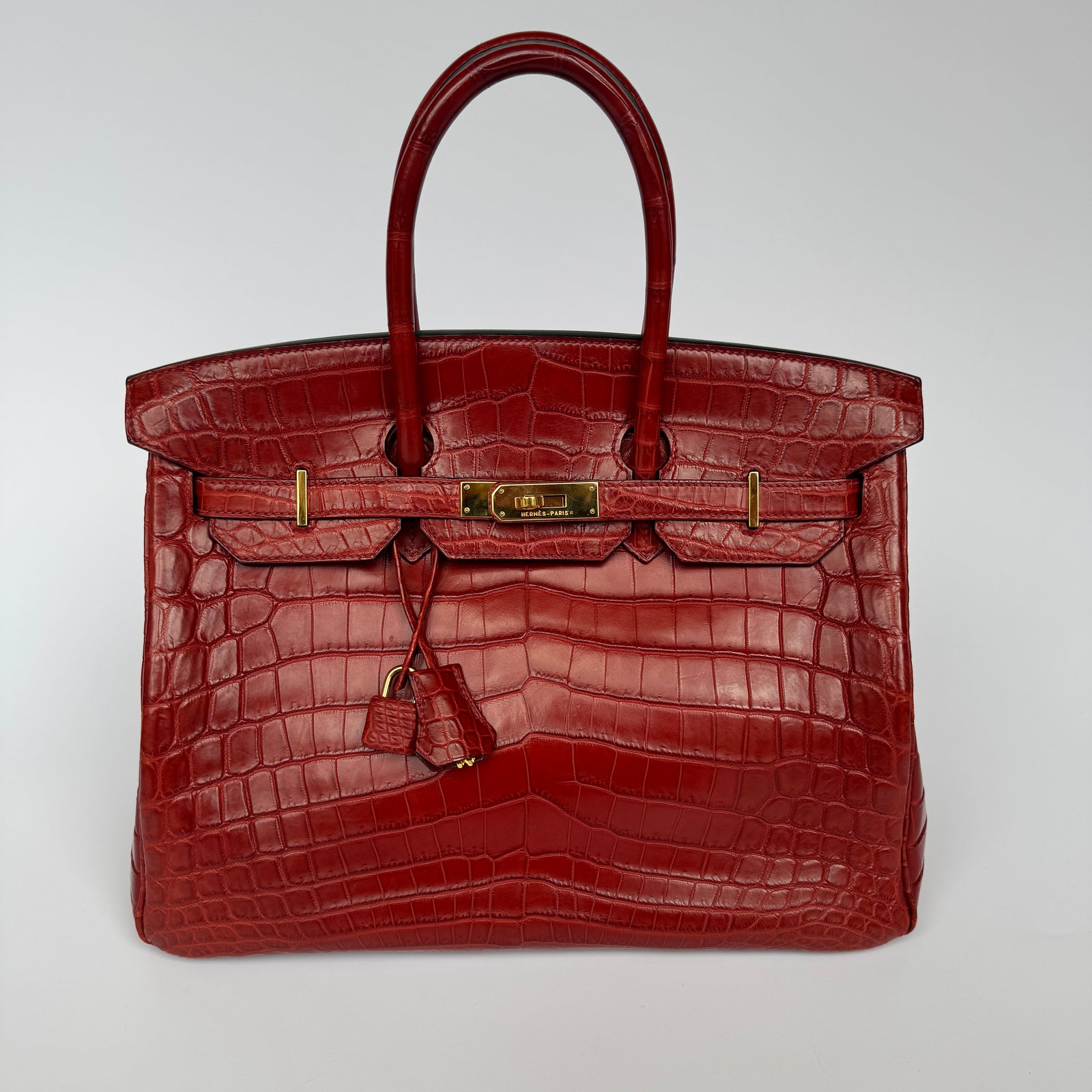 Croc birkin bag sale