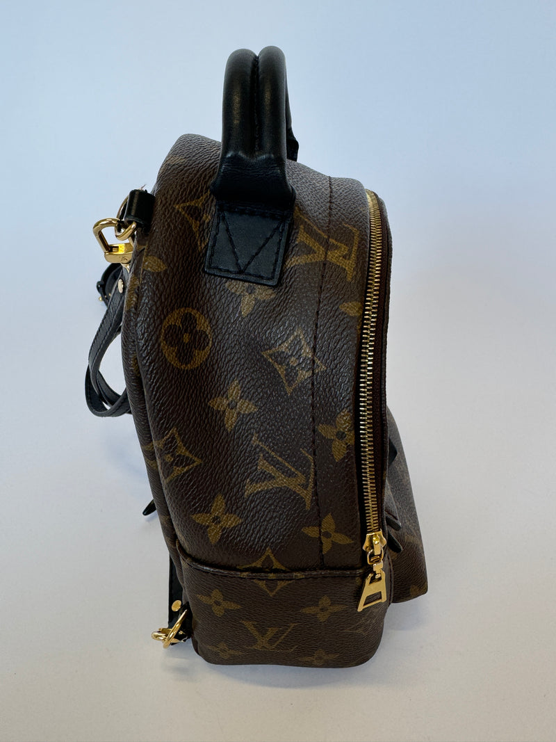 Louis Vuitton Palm Springs Mini Backpack