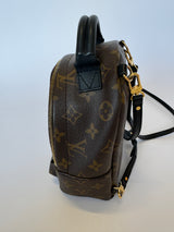 Louis Vuitton Palm Springs Mini Backpack