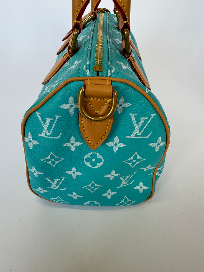 Louis Vuitton Speedy P9 Bandoulière 25 Bag