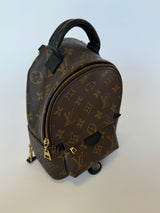 Louis Vuitton Palm Springs Mini Backpack