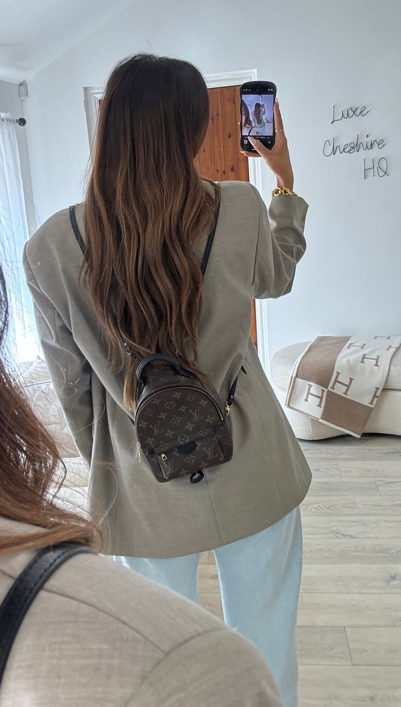 Louis Vuitton Palm Springs Mini Backpack